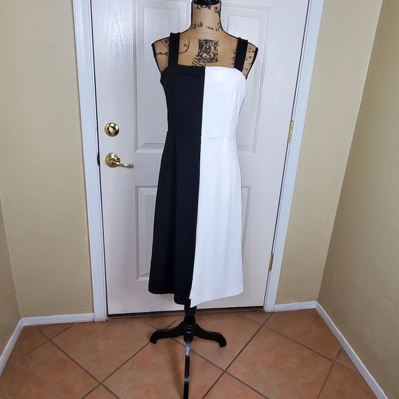 Alexia AdmorMarissa Two Tone Midi Dress - Picture 2 of 11